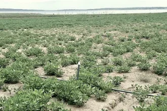 Best Farming Regions in Ghana